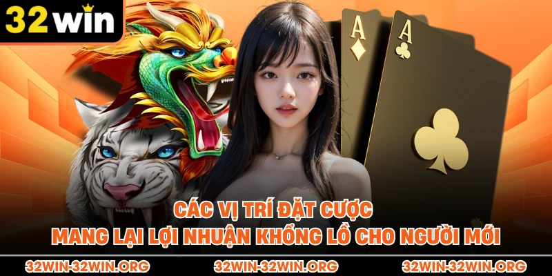Các vị trí đặt cược mang lại lợi nhuận khổng lồ cho người mới